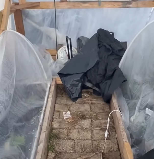 Let’s see how the hoop house is holding up with this brutal cold