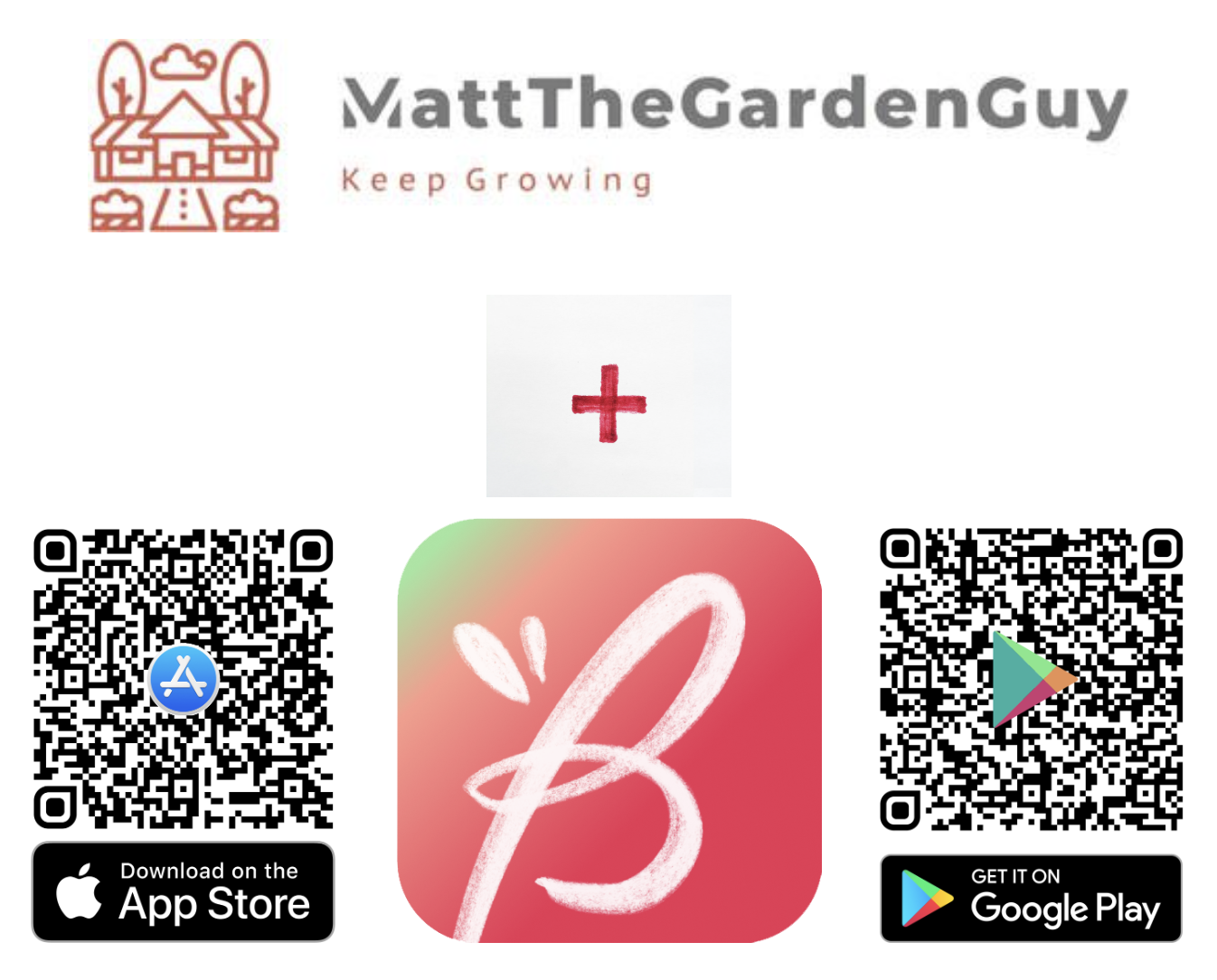 Garden photo