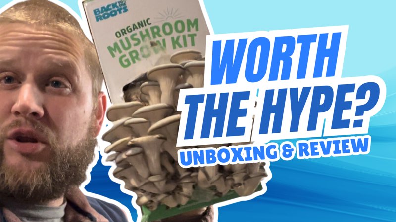 Back to the Roots Mushroom Kit