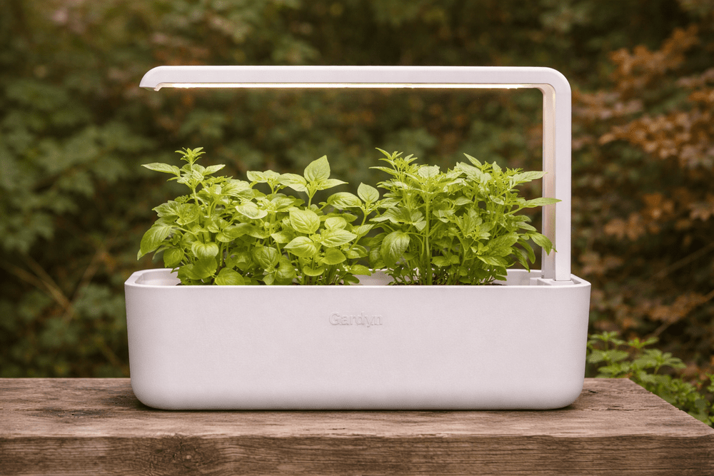 Click and Grow