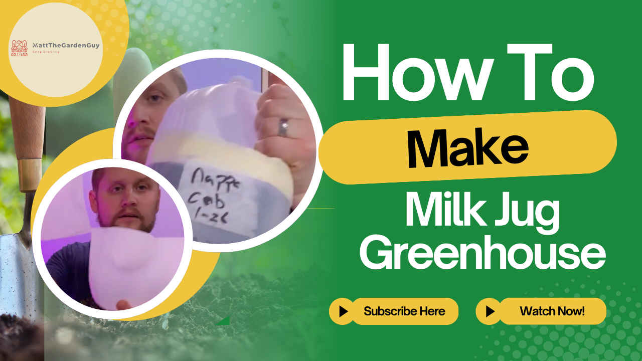 Milk Jug Greenhouse